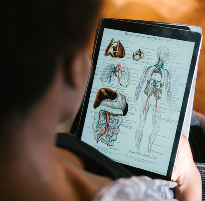 Wisnavi 慧航教育