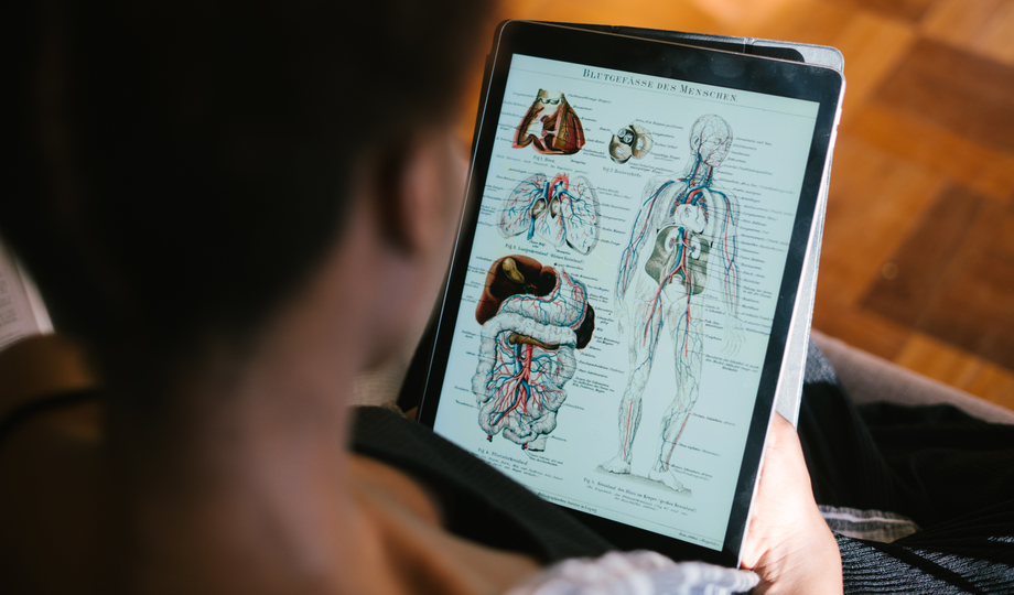 Wisnavi 慧航教育